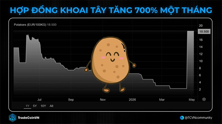 Giá hợp đồng khoai tây tăng 700% một tháng